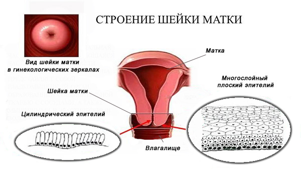 Розширена кольпоскопія з цитологією