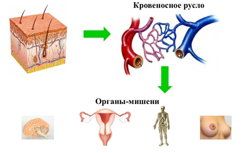 Який гормональний препарат вибрати при клімаксі