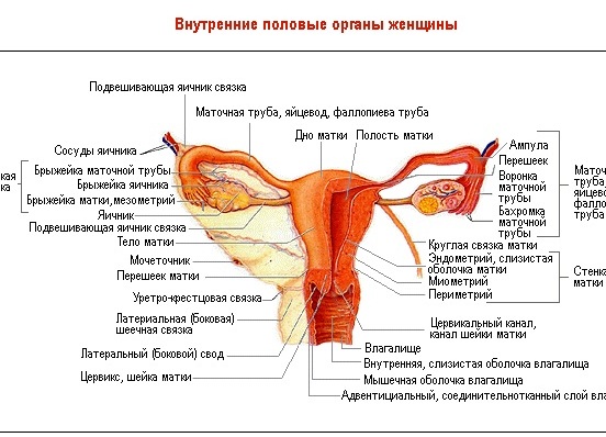 Чи небезпечна кіста круглої зв'язки на матці