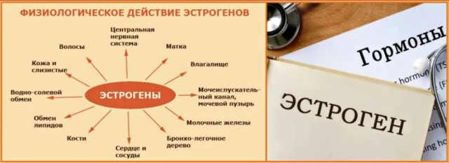 Чим відрізняється Климадинон від Климадинон Уно