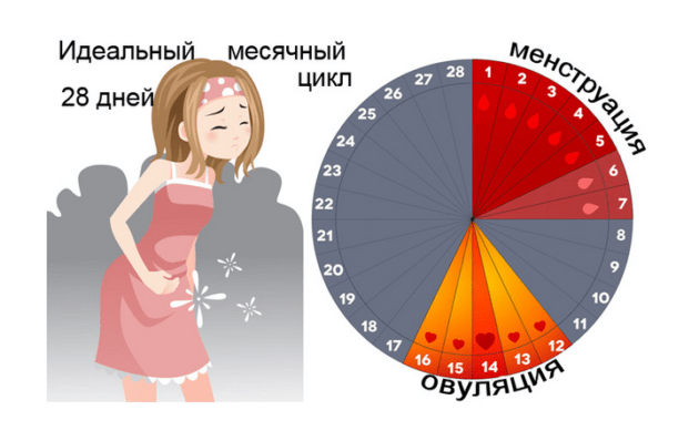 Місячні один день