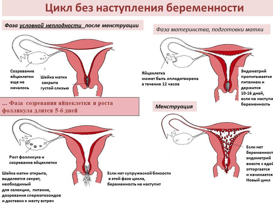 Виділення перед місячними