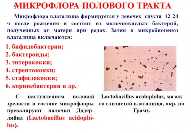 Прибуток при молочниці